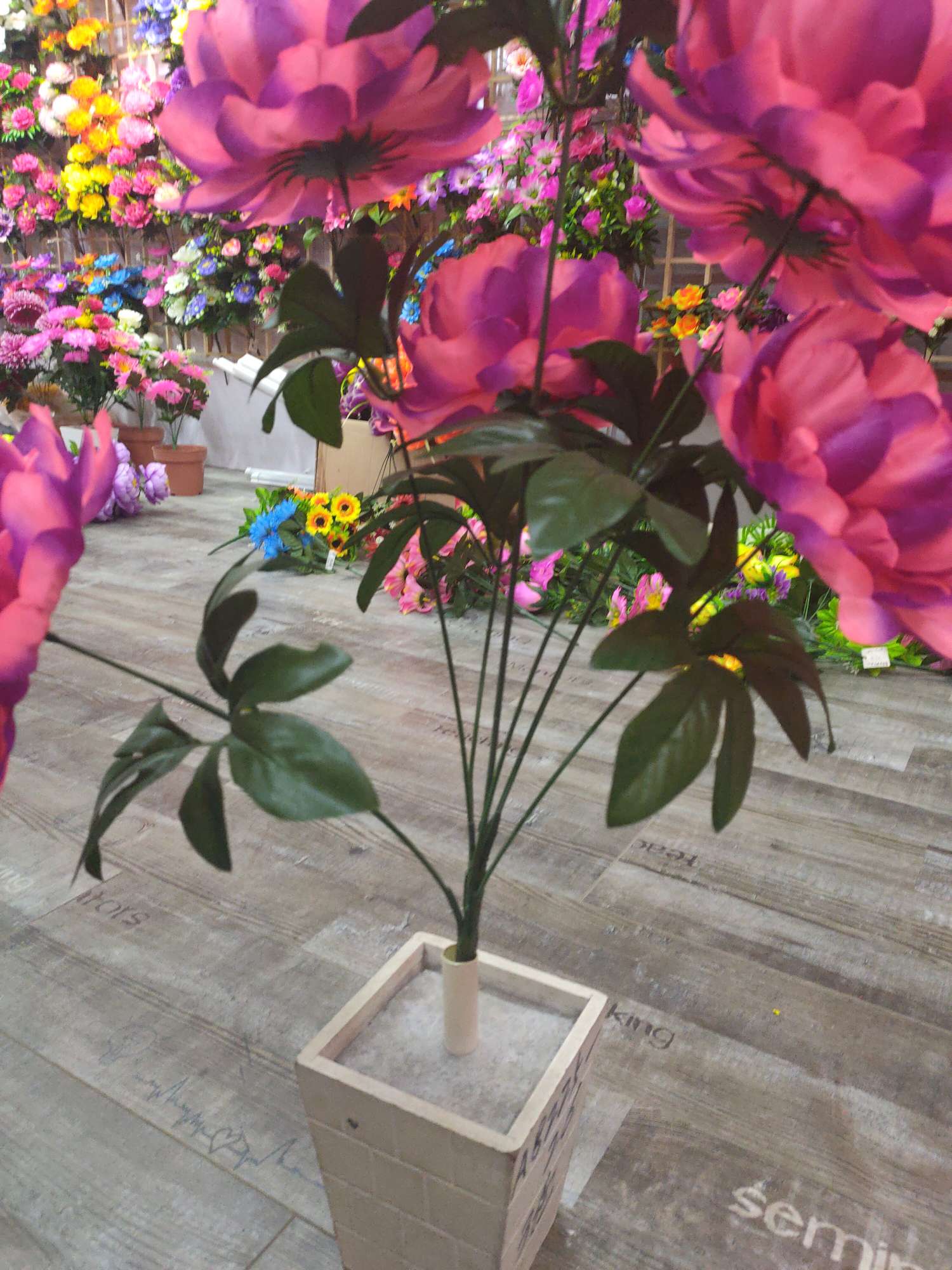 Seven peonies Specification image