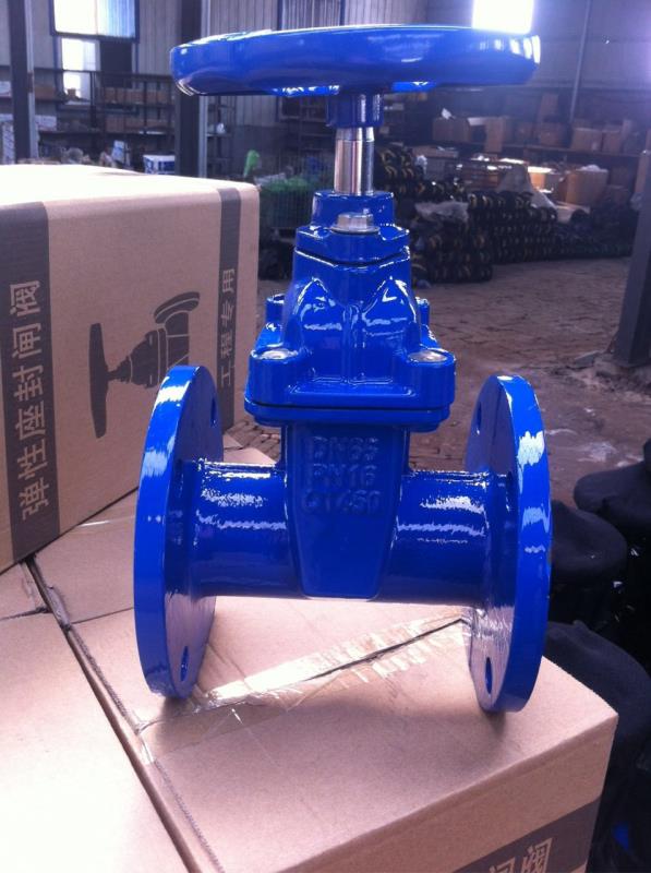 Soft seal gate valve full figure