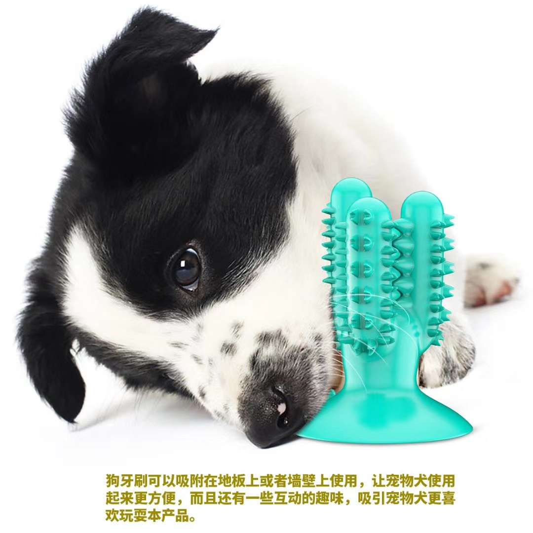 【仙人掌🌵 狗牙刷】，中美欧3地6个专利保护，全新原创设计的洁齿通道和锯齿横纵向磨牙齿真正实现了狗狗自己给自己刷牙详情图10
