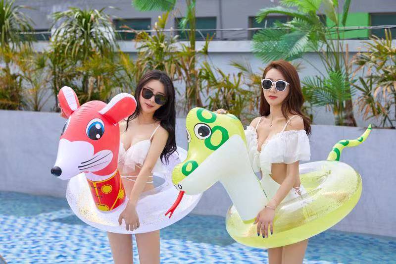 Twelve Chinese zodiac swimming rings Item Picture