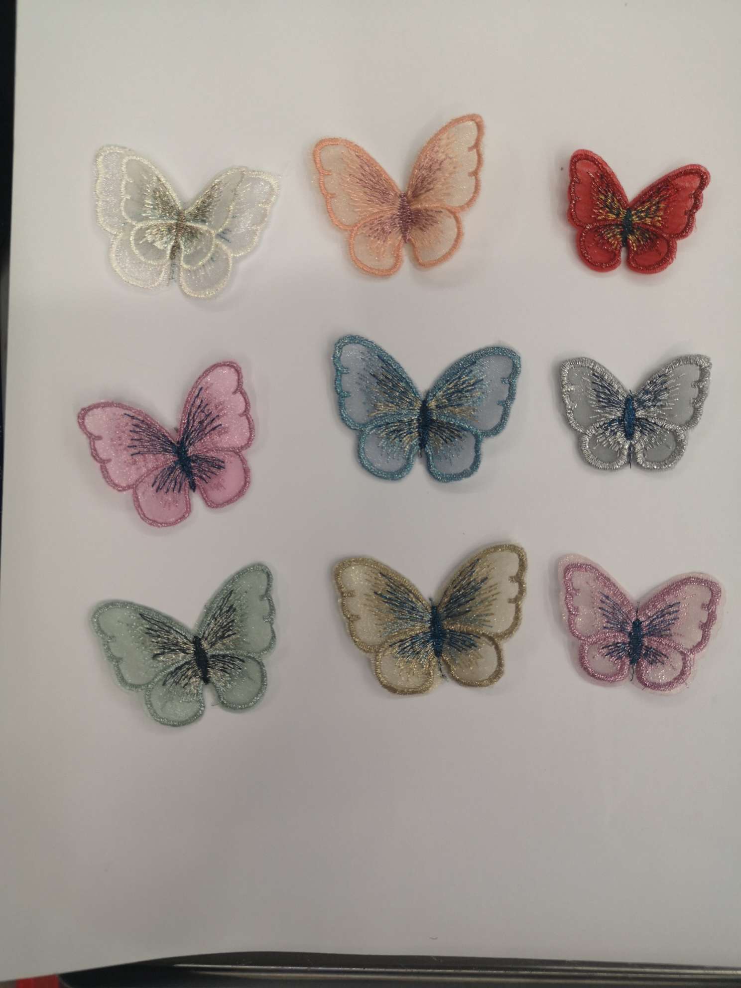 Bright line butterfly