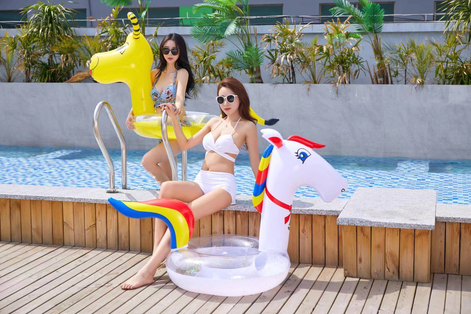 Twelve Chinese zodiac swimming rings undefined