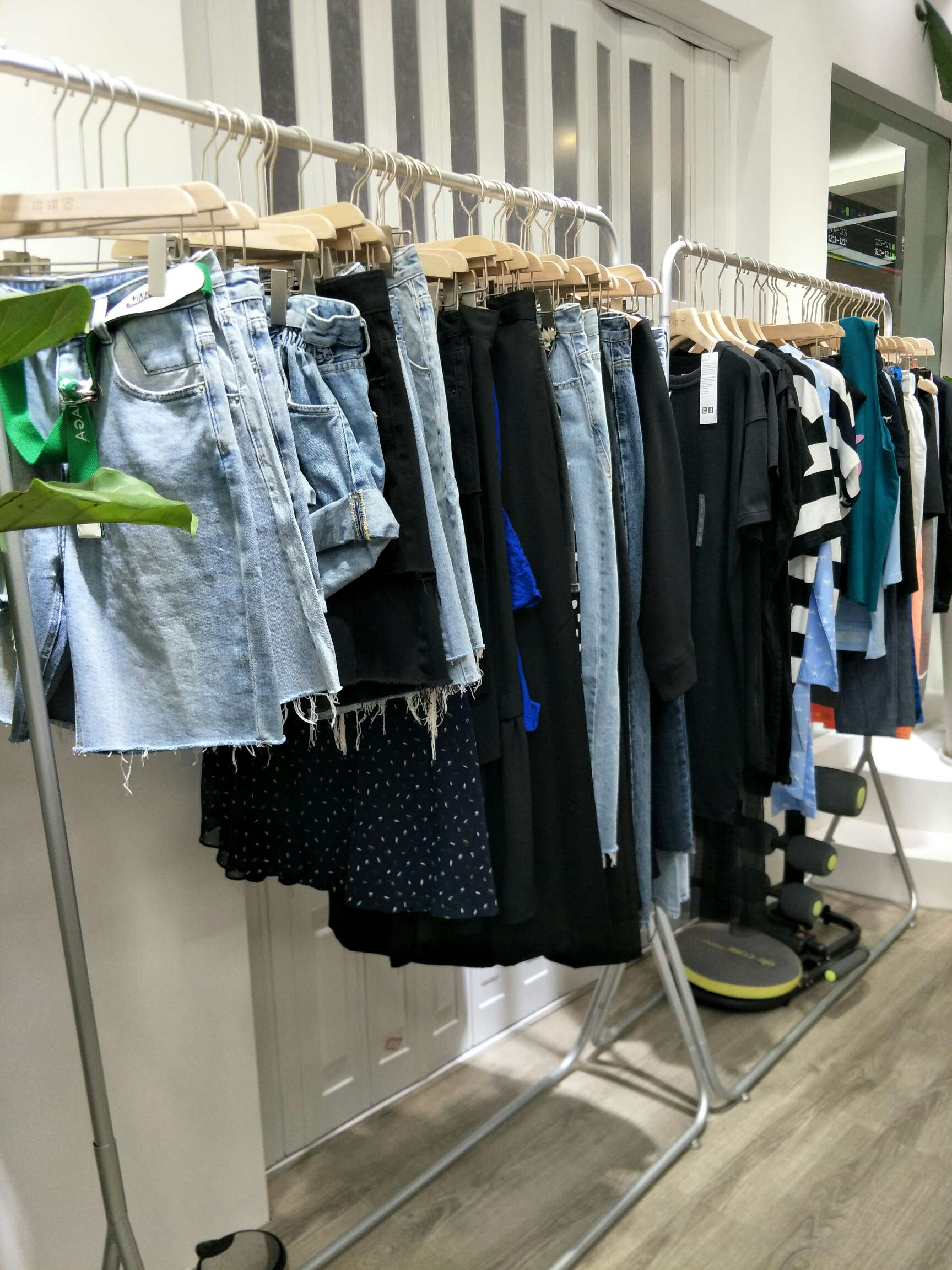 Qiqi's home describe pic - 1