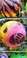 彩虹球，波波球，儿童玩具充气球产品图