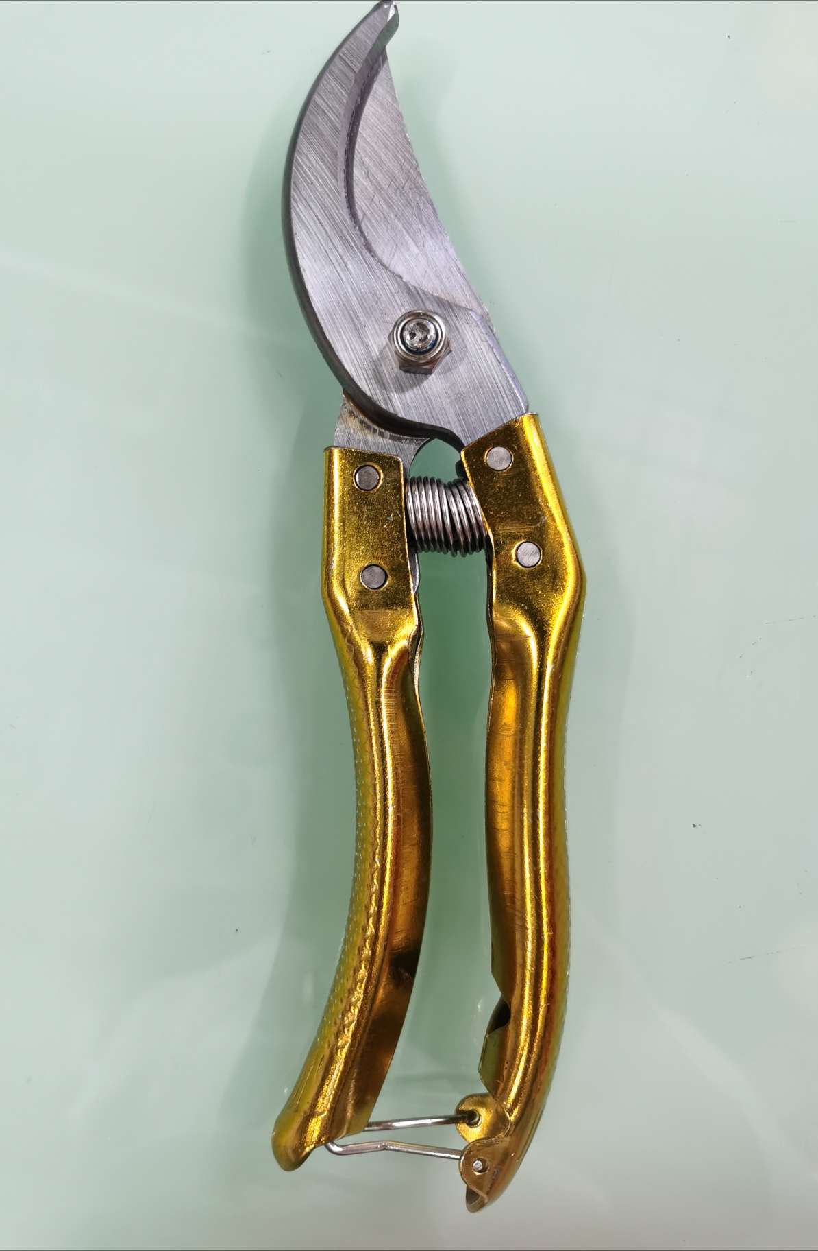 果枝剪园林剪工具园艺剪修枝工具摘果剪细节图