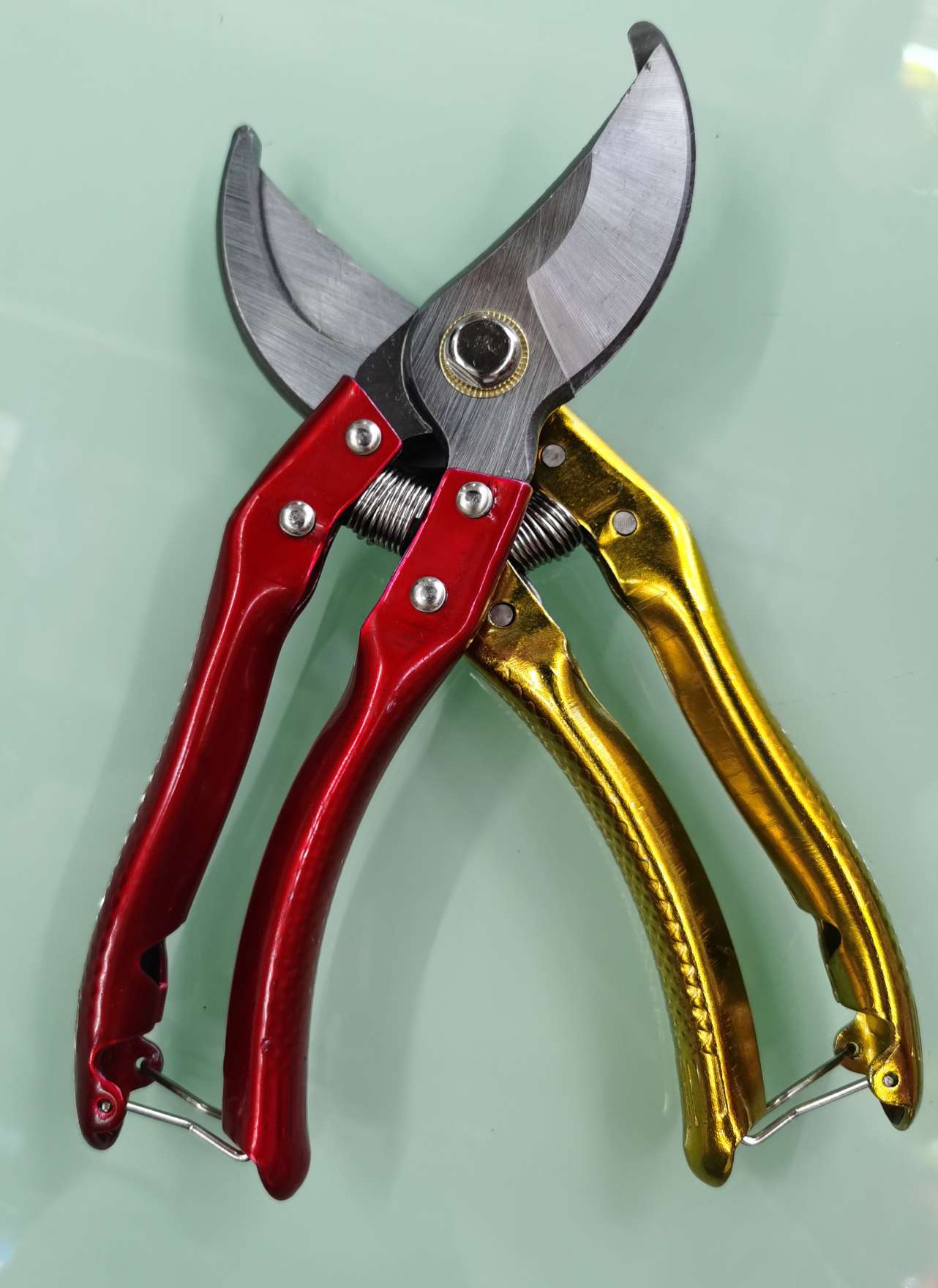 果枝剪园林剪工具园艺剪修枝工具摘果剪图