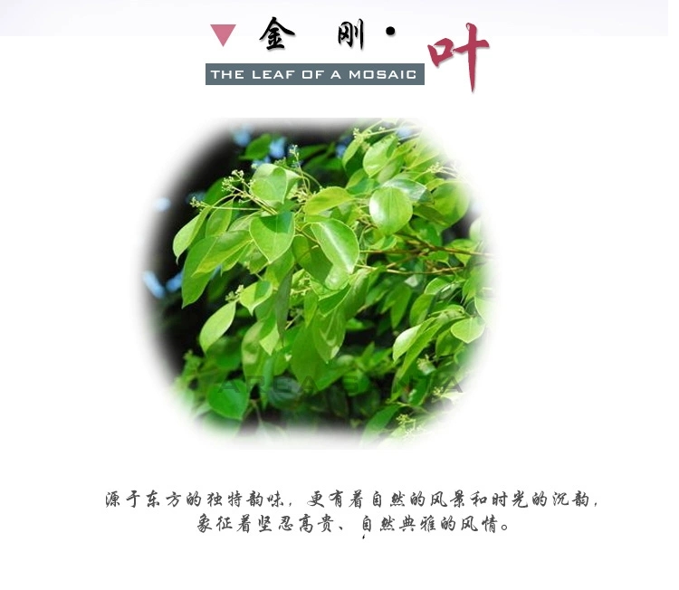 A niche natural genuine leaf necklace undefined