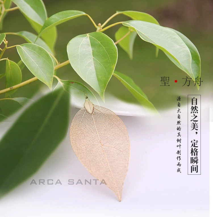 A niche natural genuine leaf necklace undefined