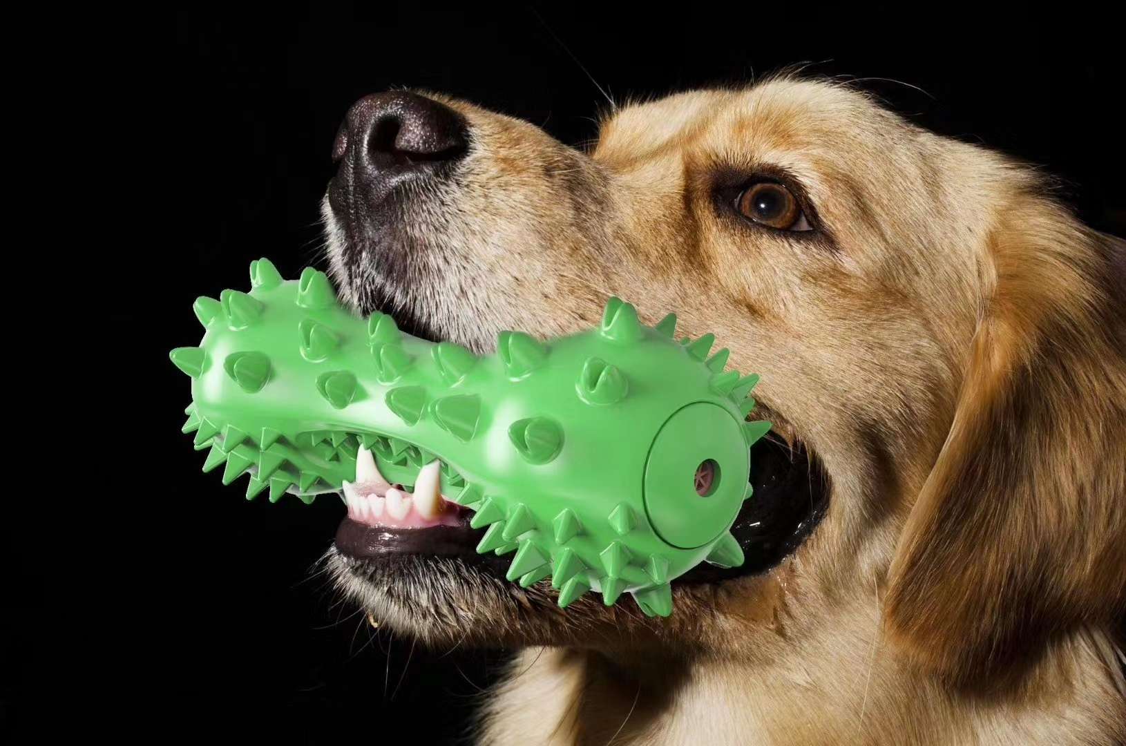 Serrated molar stick, dog teeth cleaning, teeth grinding, play! undefined