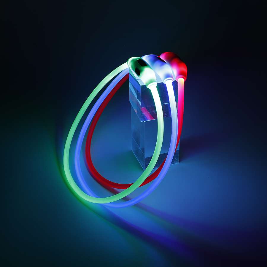 宠物项圈实物图