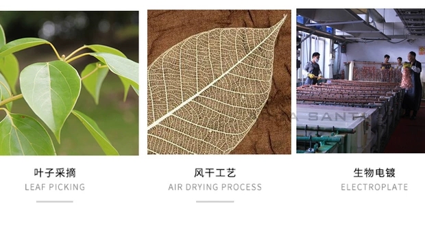 饰品/天然叶子白底实物图