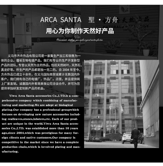 天然真树叶项链玄灵真叶 唯美雅致详情图6