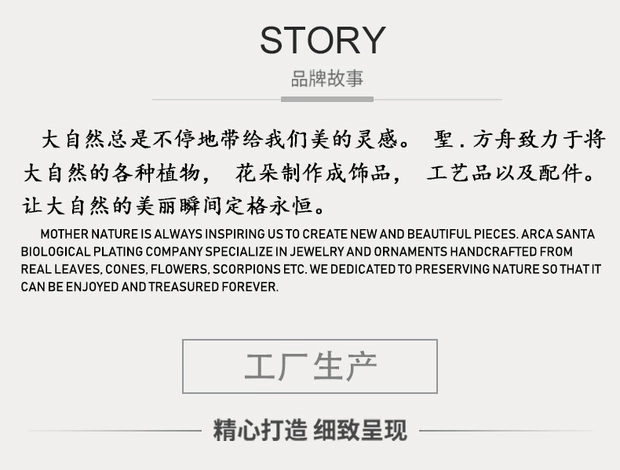 饰品/天然叶子产品图