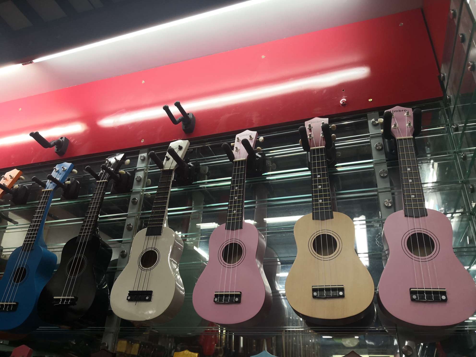 弹拨类乐器实物图