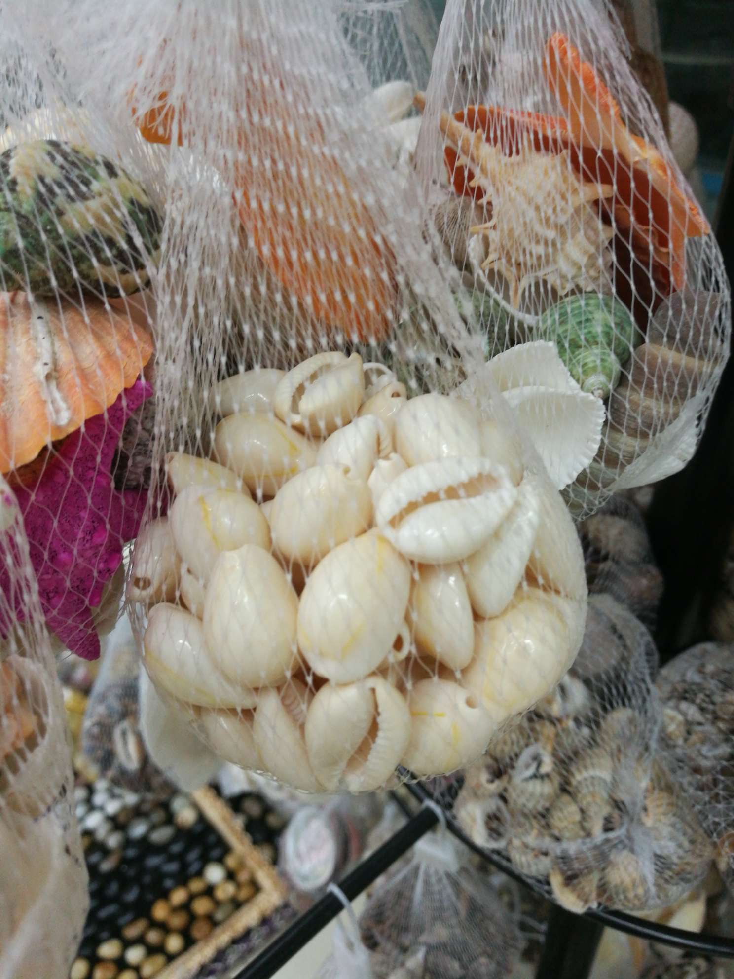 贝壳
