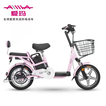 Emma lithium Battery electric bike full figure