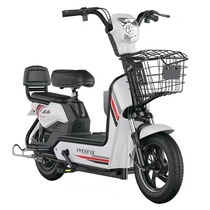 Phoenix electric bike