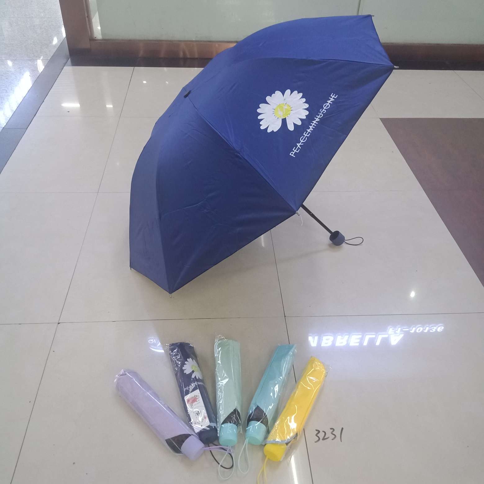 三折黑胶伞新款小雏菊少女专用