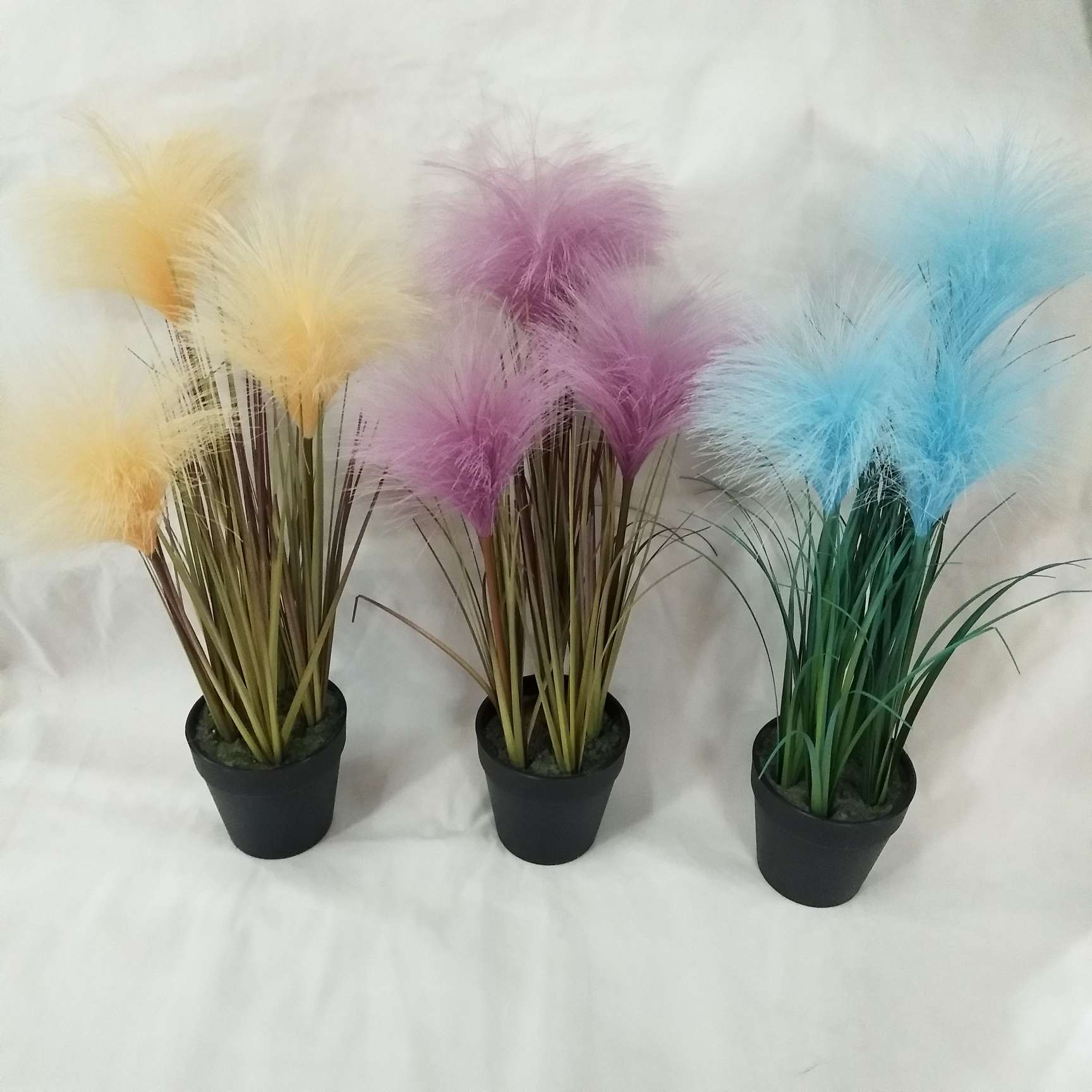 3头芦苇小盆景  家用  水草                                             