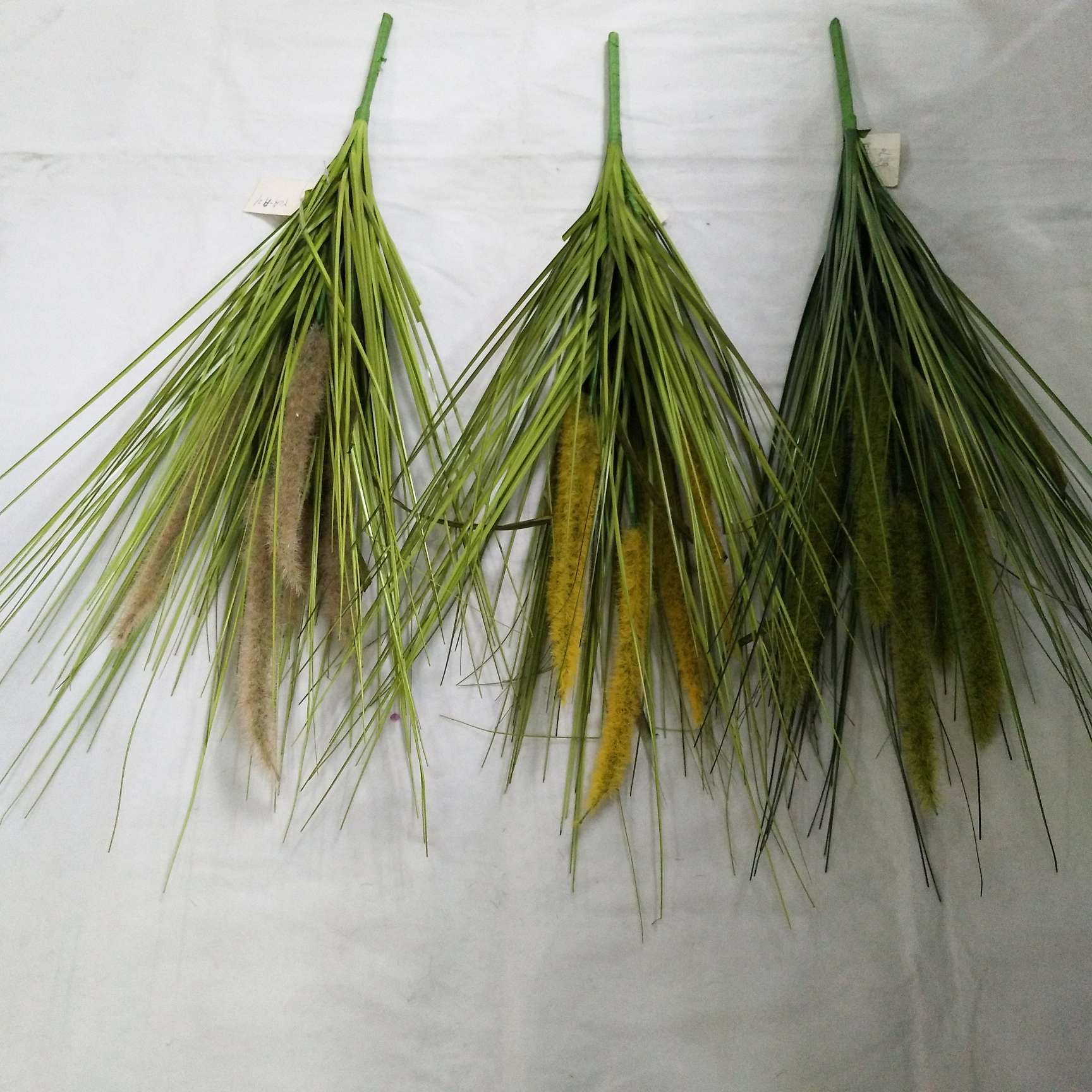 YCA onion grass - A21 thumbnail