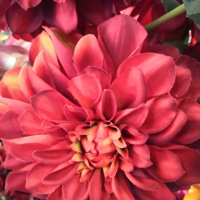 义乌好货 如一花开防真花假花仿真花客厅餐桌装饰插花束详情3