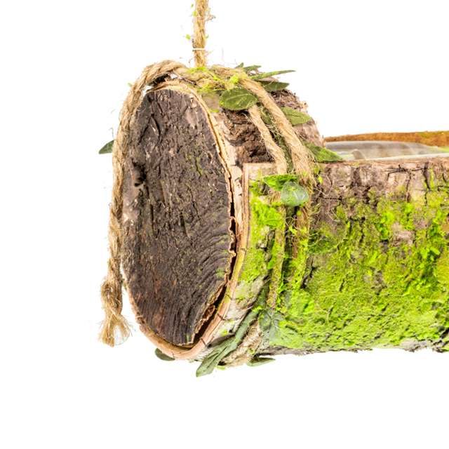 Pure natural single-layer bark flower POTS, retro wall decorations Application Scenario