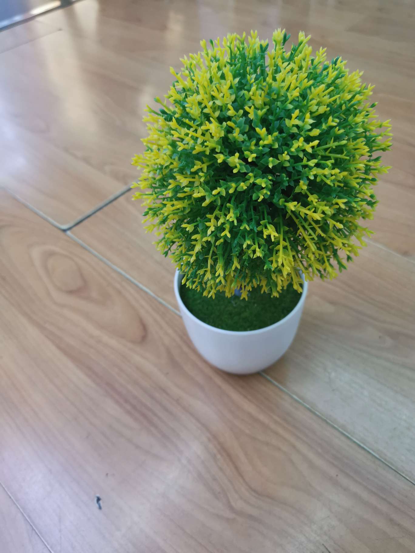 Ball simulation bonsai thumbnail