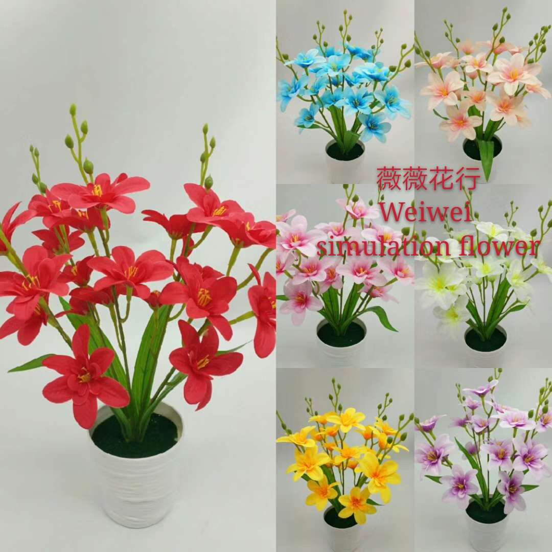 Creative bonsai office decoration with colorful flowers