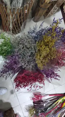 Immortal lover grass all over the star rabbit tail grass hot sale of dried branches flower material, dried flower arrangement crafts immortal lavender dried flowers thumbnail