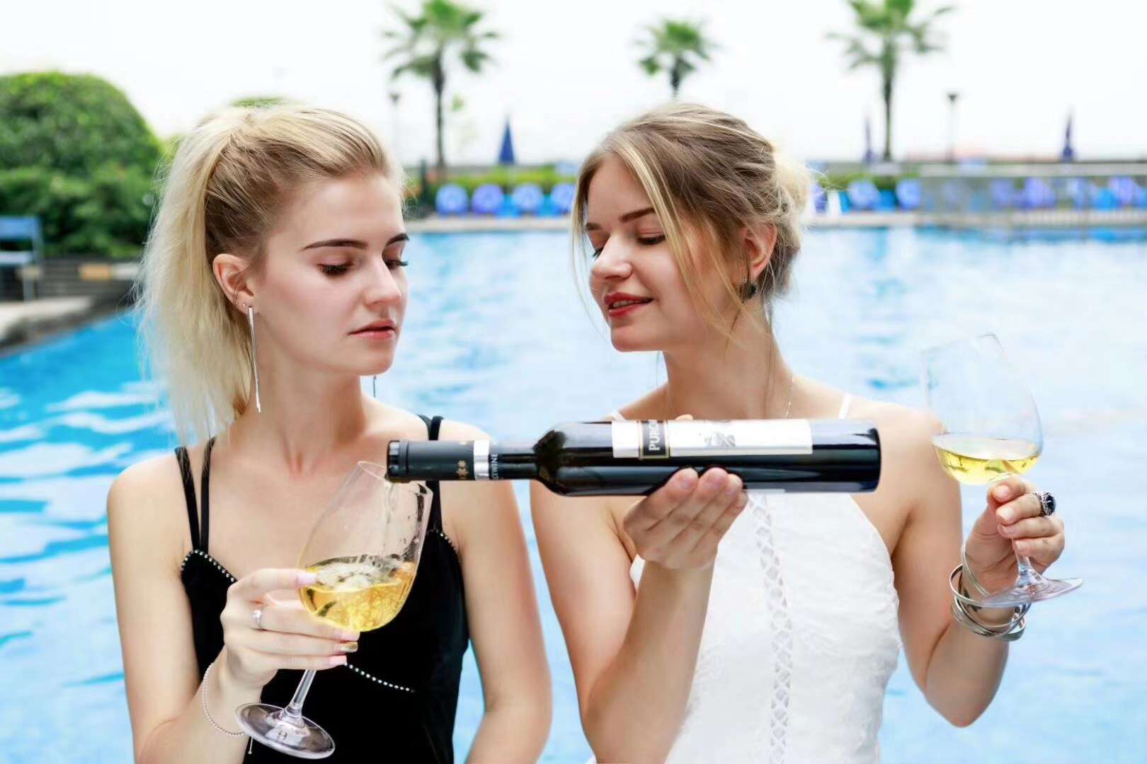 摩尔多瓦 原瓶原装进口红酒 普嘉利1827冰酒 进口葡萄酒