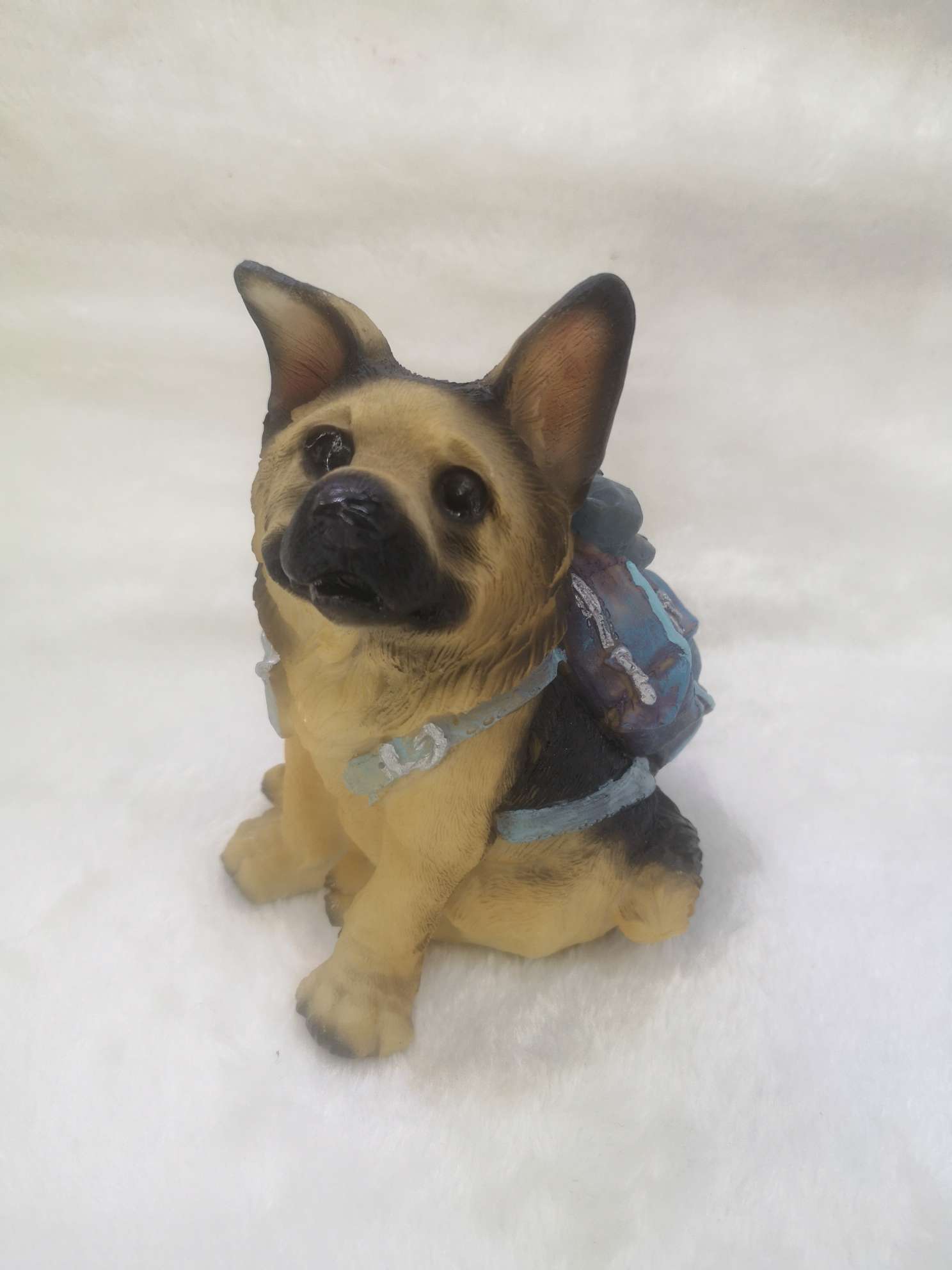 狗狗包、箱实物图