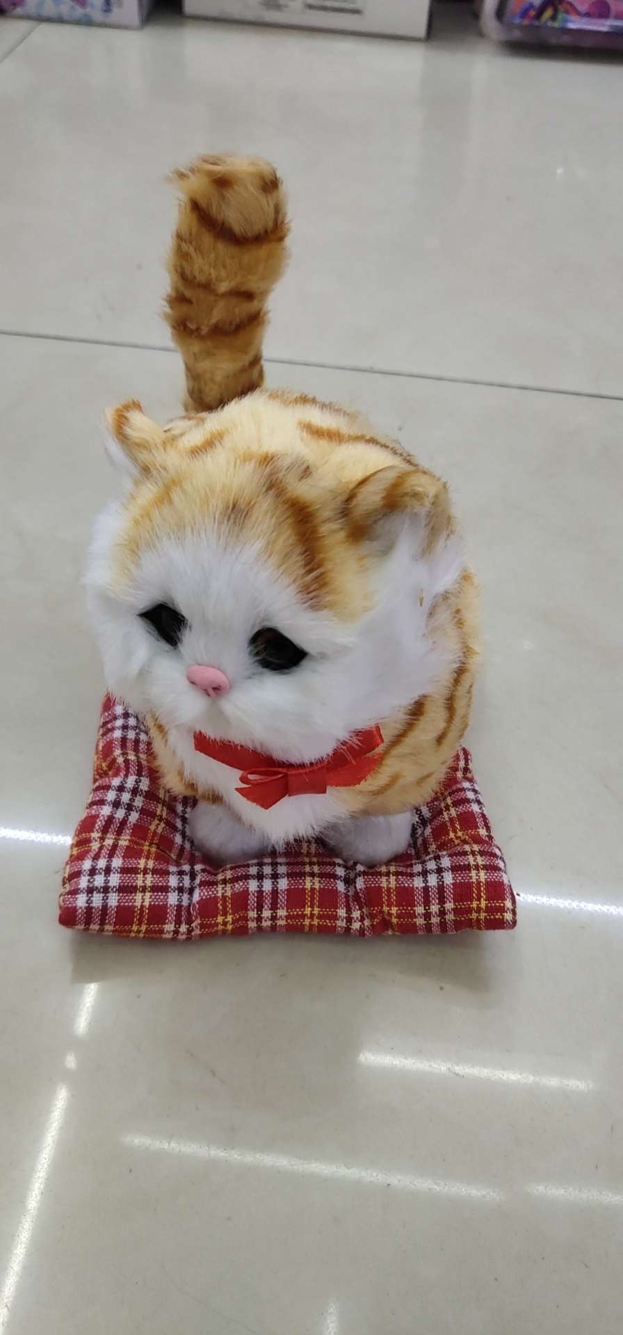 Decorative cat Application Scenario