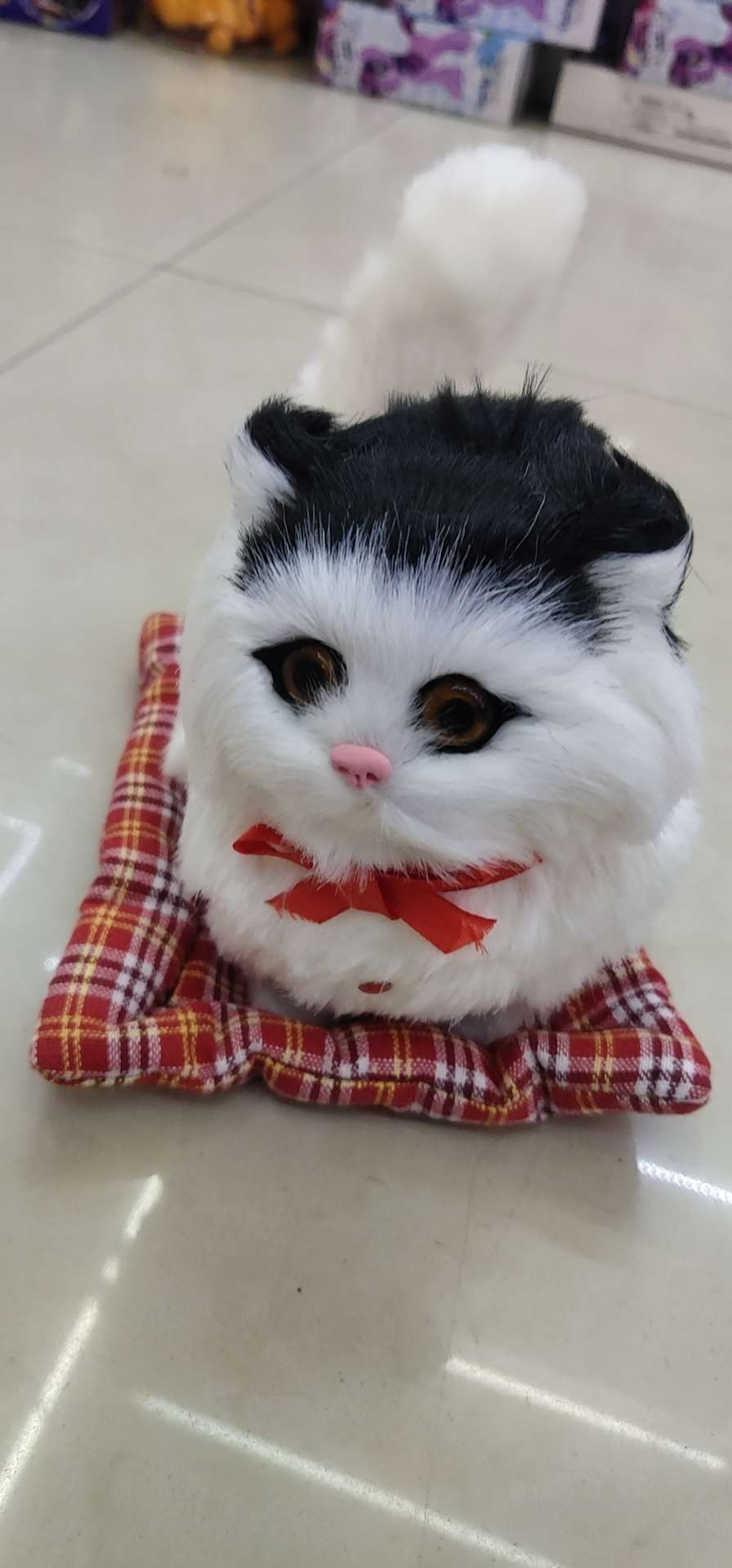 Decorative cat undefined