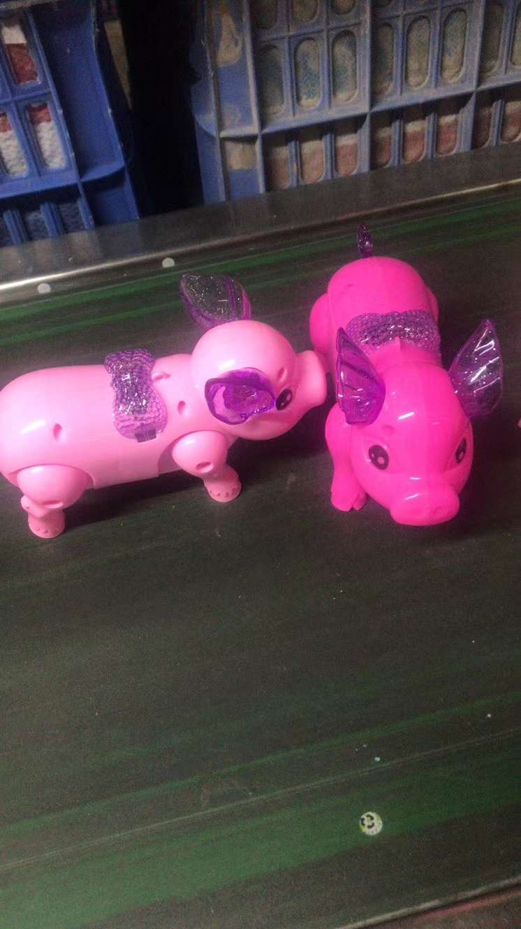 网红牵绳小猪