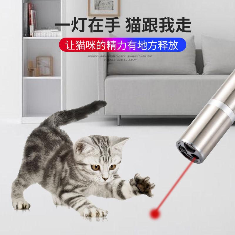 USB充电电筒+验钞+逗猫5图详情图8