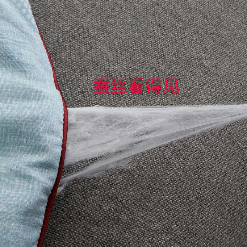 Sannong Home Textile Factory Direct Silk By Antibacterial Anti-Mite Washing Cotton Can Be Washed By Double Summer Air Conditioning undefined