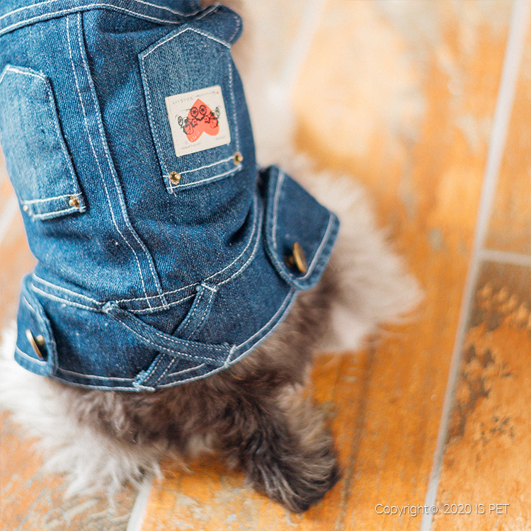 宠物宝宝衣服/衣服牛仔系列/衣服牛仔宠物白底实物图
