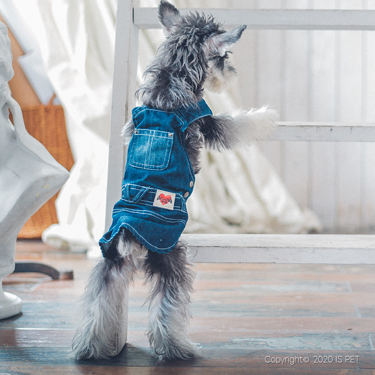 宠物宝宝衣服牛仔系列详情图7
