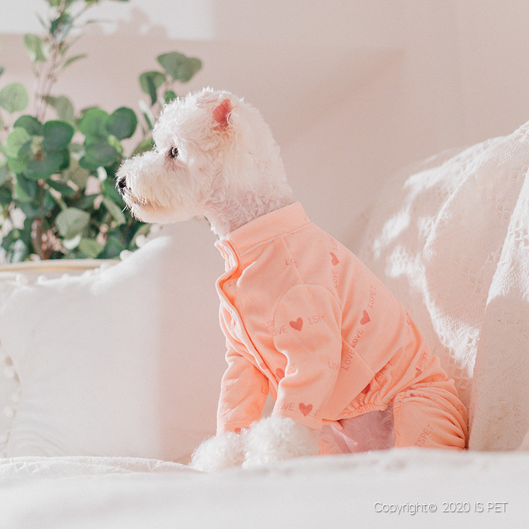 Pet baby clothes range is comfortable to wear