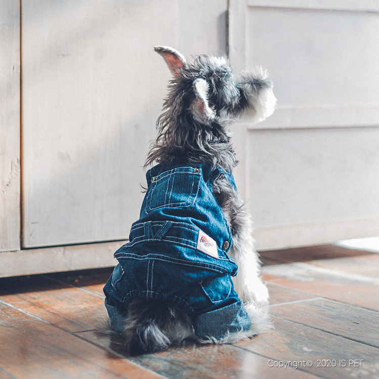 宠物宝宝衣服牛仔系列详情图10