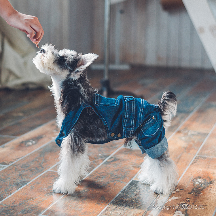 宠物宝宝衣服牛仔系列详情图9