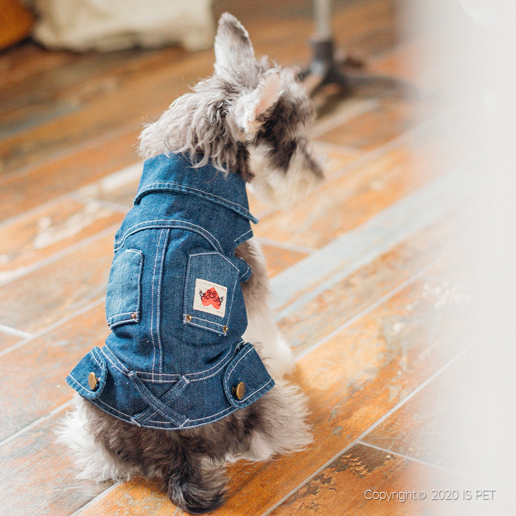 宠物宝宝衣服牛仔系列详情图8