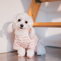 Pet baby summer clothes collection