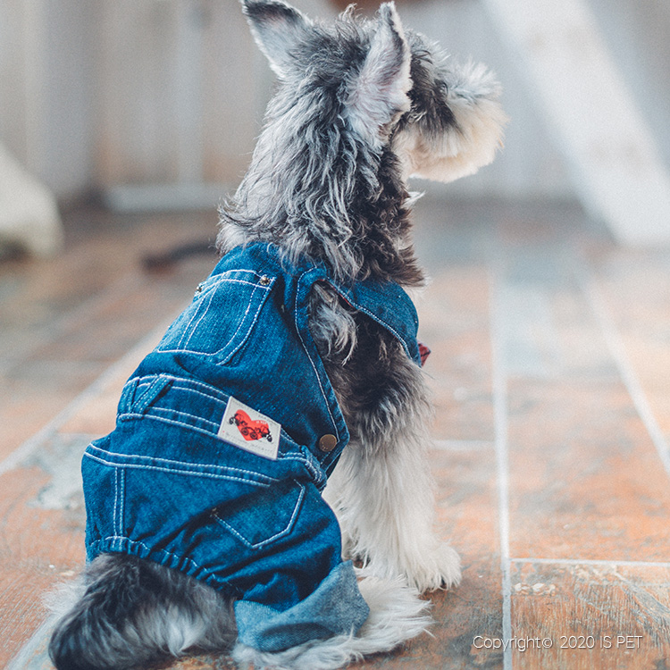 宠物宝宝衣服牛仔系列详情图6