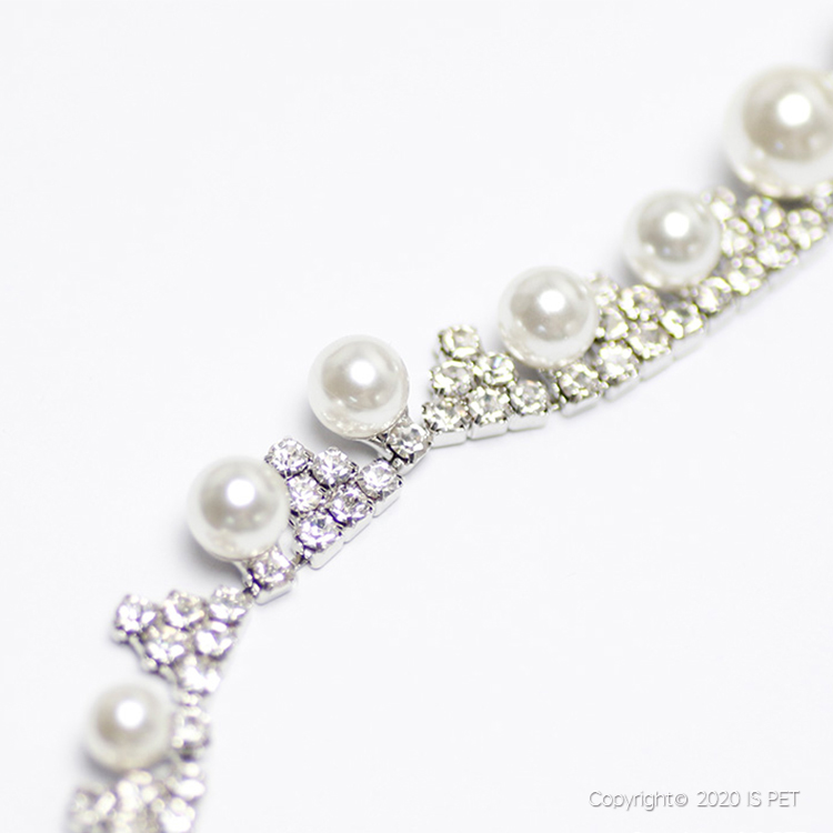 宠物宝宝项链/宠物用品项圈/宠物狗狗项圈白底实物图