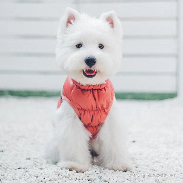 宠物用品棉服/宠物冬季衣服/宠物新款服饰细节图