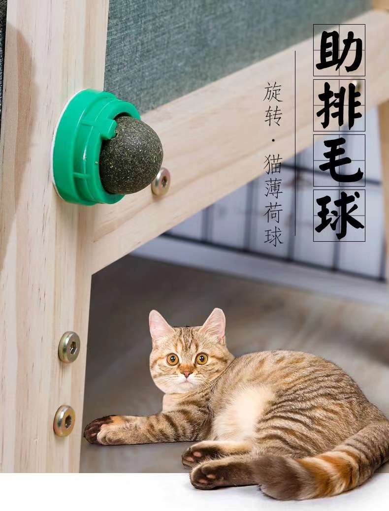 Play alone every day happy, cat fur toys good stuff. Great price advantage