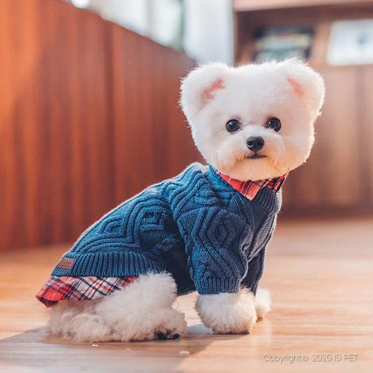 👑 ISPET began in 2005, 2020 new winter 🌸 👑 KS0064 🌸 false two shirts net color cotton twisted flowers sweater sweater on the basis of adding the plaid shirt thumbnail