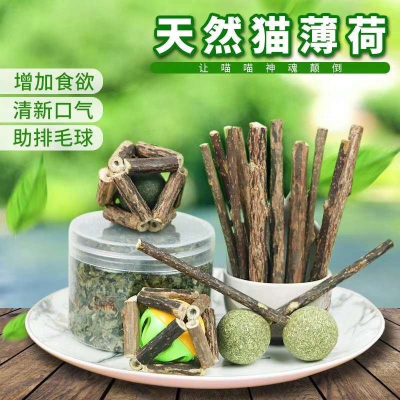 猫薄荷。各种天然猫咪最爱的Du   PING