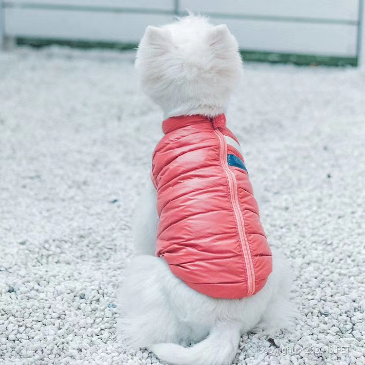 👑ISPET始于2005年👑2020秋冬新款💋CT0156💋款式上面松紧领口，侧边开扣都是为了方便狗狗穿脱以及适详情图10